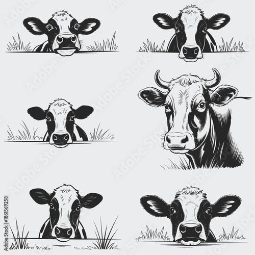 Peeking Family Cow SVG Bundle, Cow Animals SVG, Family SVG, Farm Animals SVG, Peeking Cow SVG, Cow Head SVG, Western Cow SVG, Vector, Silhouette, Cut File For Cricut
