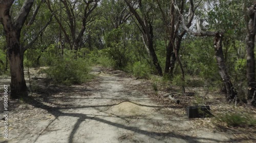 Drone aerial footage of a dirt hiking track through a forest of eucalyptus trees on a sunny summer day in the Blue Mountains in New South Wales, Australia.