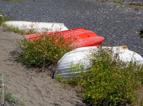Upside down dinghies on a beach with wild vegetation