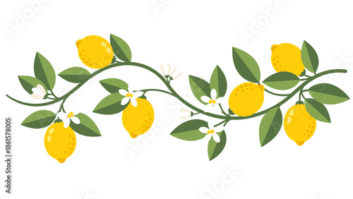 Vibrant Lemon Branch Illustration with Ripe Yellow Fruits, Green Leaves, and White Blossoms
