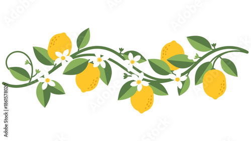 Fresh Lemon Branch Garland Illustration with Yellow Fruits, Green Leaves, and White Blossoms