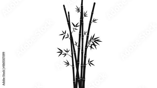 Elegant bamboo stalks and leaves in a minimalist black and white design.
