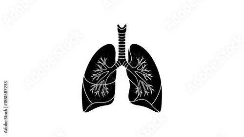 Black and white illustration of human lungs for medical purposes.