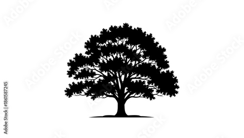 Silhouette of a majestic oak tree with lush foliage against a white background.