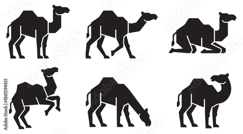 Set of six black silhouette icons of camels in different poses, isolated on a white background.