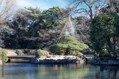日本庭園、冬に備えて設置された雪つり