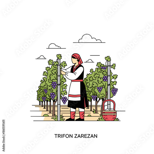 Woman in Bulgarian folk costume pruning grapevines for Trifon Zarezan celebration visuals