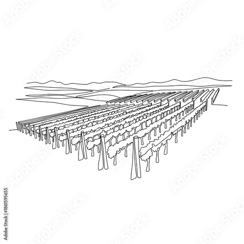 Vineyard rows in line art style for wine-themed designs and Trifon Zarezan