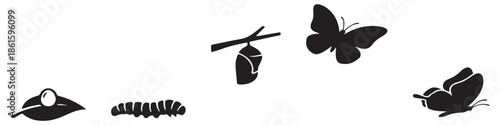 The life cycle of a butterfly shown in silhouette, from egg on a leaf to caterpillar, chrysalis, and finally a butterfly.