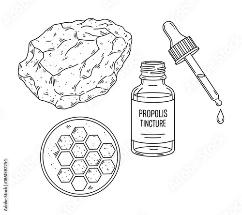 Propolis tincture with honeycomb and propolis piece in vector line art style