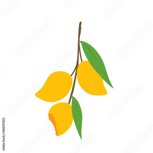 Mango fruit illustration. Bitten mango fruit. Flat design of mango fruit. Fruit illustration. Mango fruit vector with green leaf