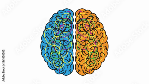 Scientific illustration of a human brain with colored hemispheres and neural pathways