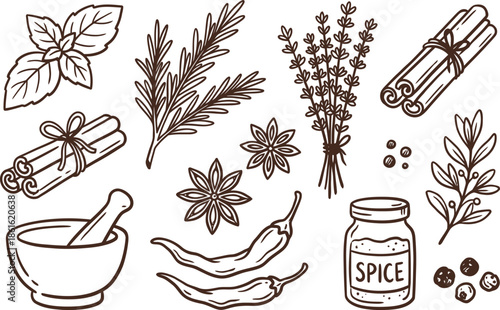 Hand-Drawn Spices and Herbs Collection