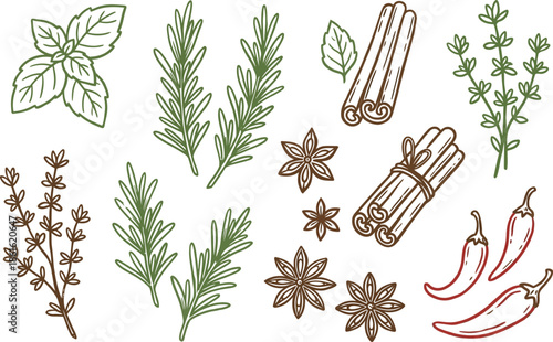 Hand-Drawn Assortment of Herbs, Spices, and Chili Peppers