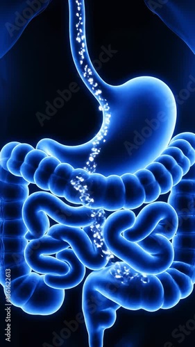 Chyme Passing Through Human Digestive System in Blue Glow