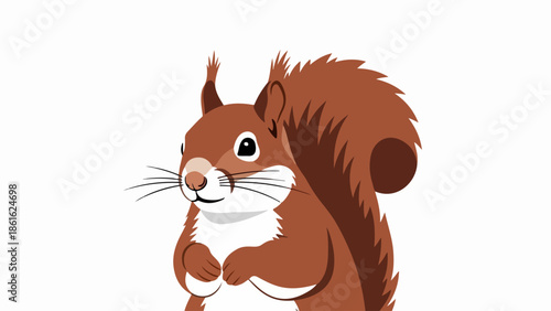 Charming squirrel illustration with earthy brown fur and white underbelly