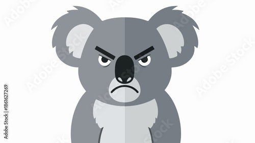 Close-up portrait of an angry koala with gradient gray fur on a light gray background