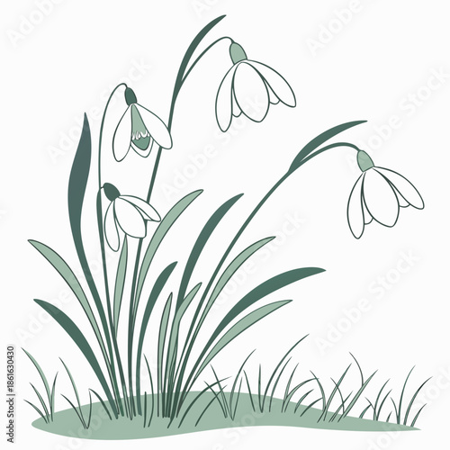Minimal Spring Emergence Abstract Vector Form