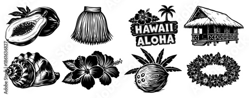 Tropical hawaii summer vacation elements with hibiscus flowers and fruits