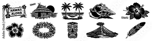 Set of vintage monochrome Hawaiian tropical icons