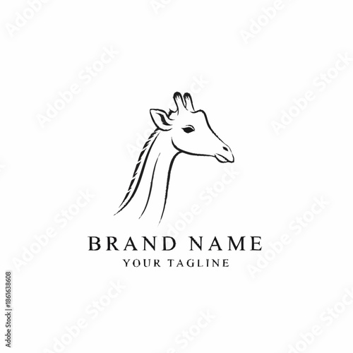 Simple Line Drawing of Horse Head Logo.