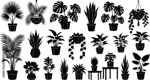 Set of potted houseplant silhouettes, black indoor garden vector, monstera palm snake plant icons, nature collection,