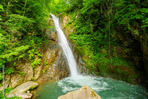 Wallpaper Mural 250620秋山郷大瀬の滝 Torontodigital.ca