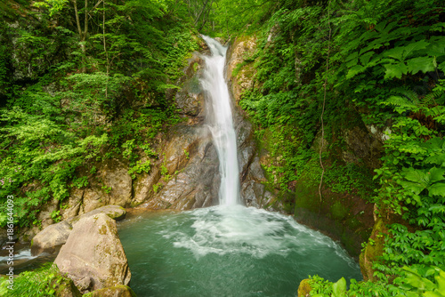 Wallpaper Mural 250620秋山郷大瀬の滝 Torontodigital.ca