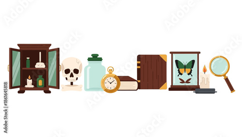 Antique curiosity cabinet with skull, insect display, and vintage objects