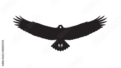 A majestic bird in silhouette soars through the sky with outstretched wings silhouette