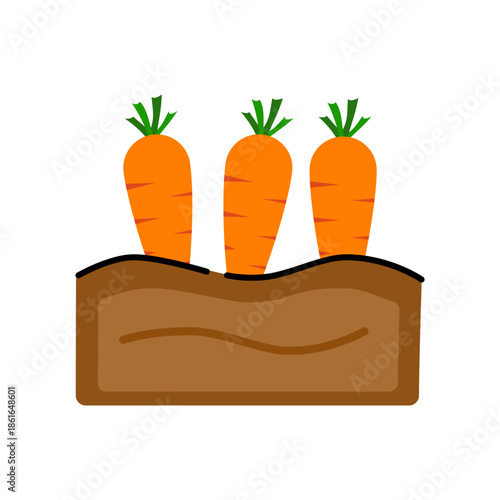 Carrots growing in the ground on white background.