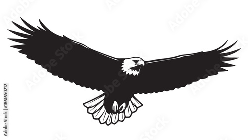 A bald eagle in flight with its wings spread wide silhouette