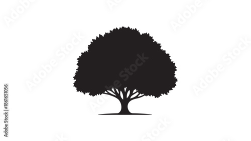 A tree silhouette stands alone against a white background in nature