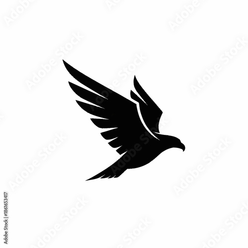 Black Bird Silhouette in Flight.