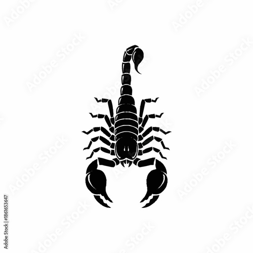 Black Scorpion Silhouette Isolated on White.