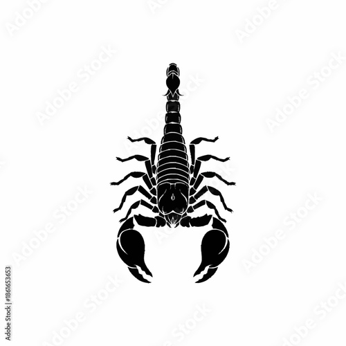 Black Scorpion Silhouette with Raised Tail.