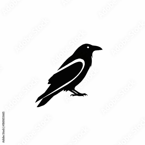 Black Silhouette of a Bird Standing.