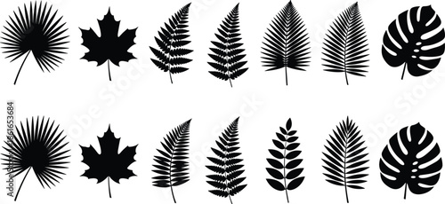 Set of Tropical Leaf Silhouettes, Botanical Foliage Elements, Fern and Monstera Leaves, Black Maple Leaf, Jungle Flora, Nature Design, Organic.
