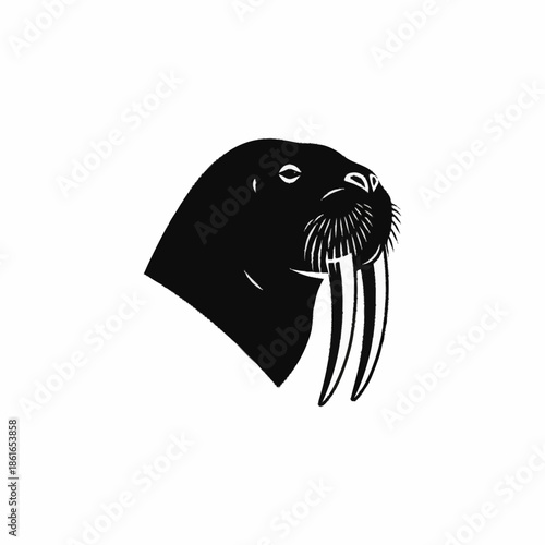 Walrus Head Illustration with Tusks.