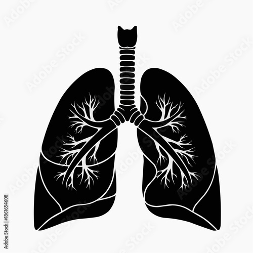 An illustration of human lungs and trachea on a white background