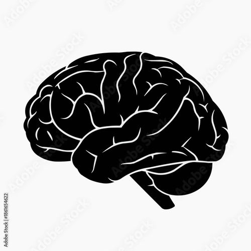 A black and white illustration of a human brain