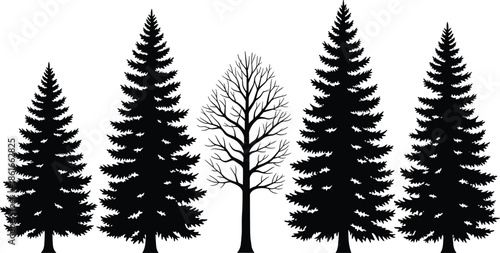 Forest tree silhouettes vector illustration featuring pine and leafless trees, nature landscape elements, black shapes, minimalist woodland design, isolated on white background