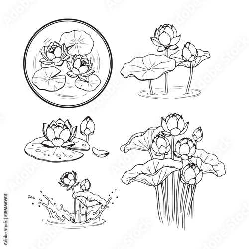 Lotus Flower Vector Graphic Pink Lotus Flower Vector Illustration Watercolor Floral Clipart for Print and  Design 