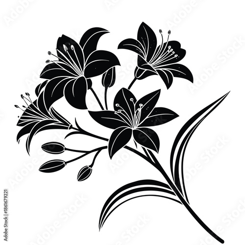 Stunning black lily flowers silhouette with buds on transparent background a beautiful floral branch design