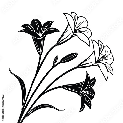 Beautiful black lily flower stalks silhouette on transparent background with leaves and buds a floral design