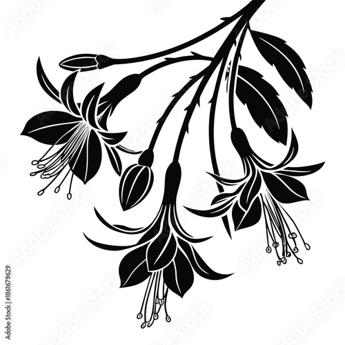 Black fuchsia flowers and buds branch silhouette decorative floral element vector illustration isolated on transparent background.