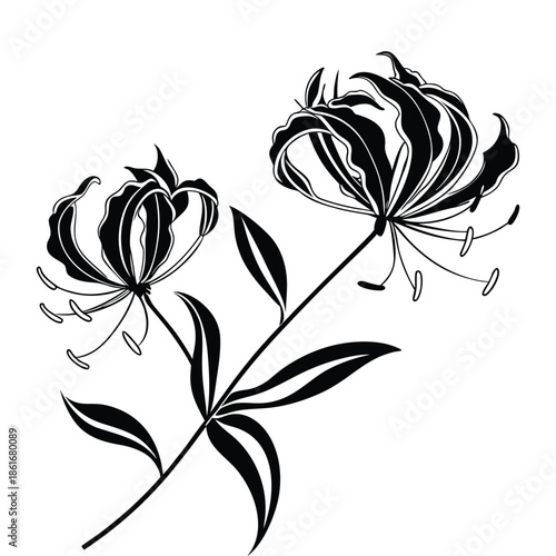 Black silhouette of two red spider lilies with long stamens and green leaves on transparent background