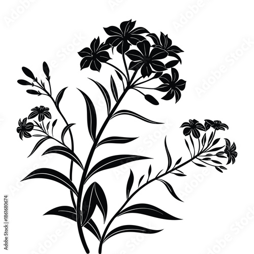 Vertical black silhouette vector of tall jasmine or lily like flowers on slender stems with pointed green leaves