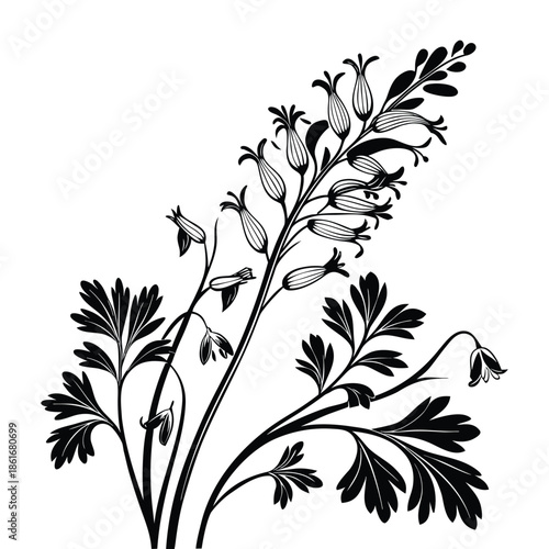 Hand drawn black silhouette of bellflower branch with drooping blossoms and lobed foliage botanical vector art