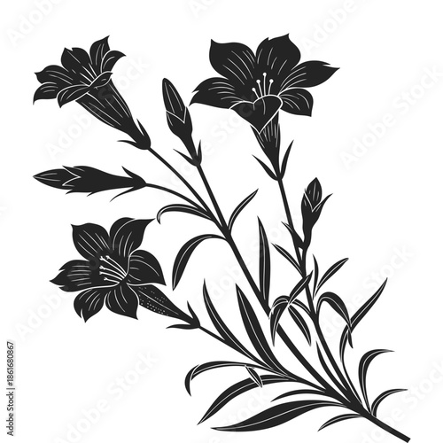 Wallpaper Mural Silhouette bouquet gentian flower isolated on transparent background beautiful decorative floral element in black color Torontodigital.ca